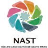 cropped-cropped-Nast-logo-1.png